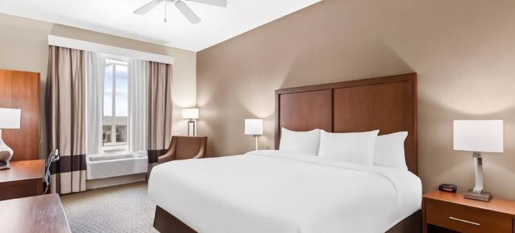 舒适套房酒店(Comfort Inn & Suites)图片