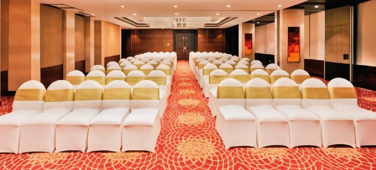 勒克瑙柠檬树酒店(Lemon Tree Hotel Lucknow)图片