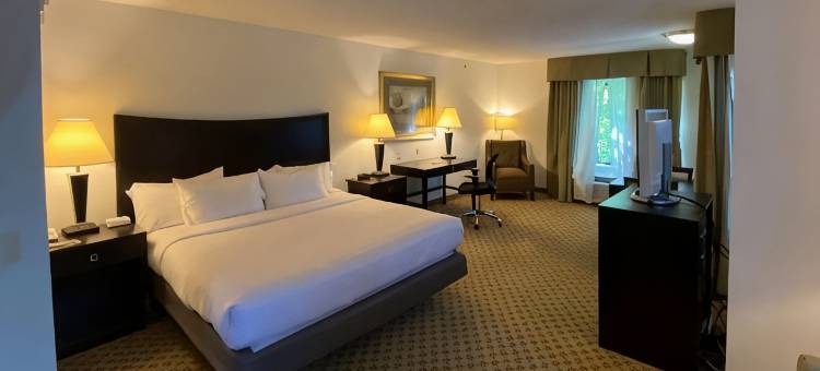 切斯特敦智选假日套房酒店(Holiday Inn Express Hotel & Suites Chestertown)图片