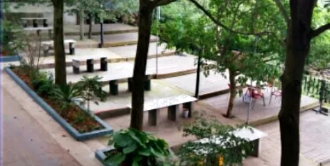 天台山枇杷生態園