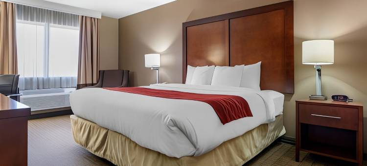 利兹I-20舒适套房酒店(Comfort Inn & Suites Leeds I-20)图片