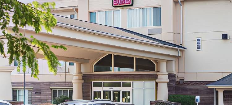 机场舒适套房酒店(Comfort Suites Airport)图片