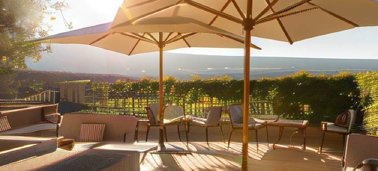 克里隆勒布拉沃酒店(Hotel Crillon le Brave)图片