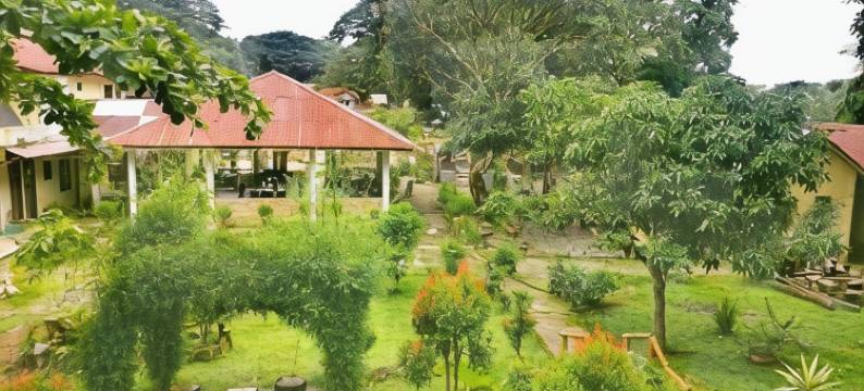 楼瑟尔西坝雅克旅馆(Wisma Leuser Sibayak & Jungle Trekking)图片