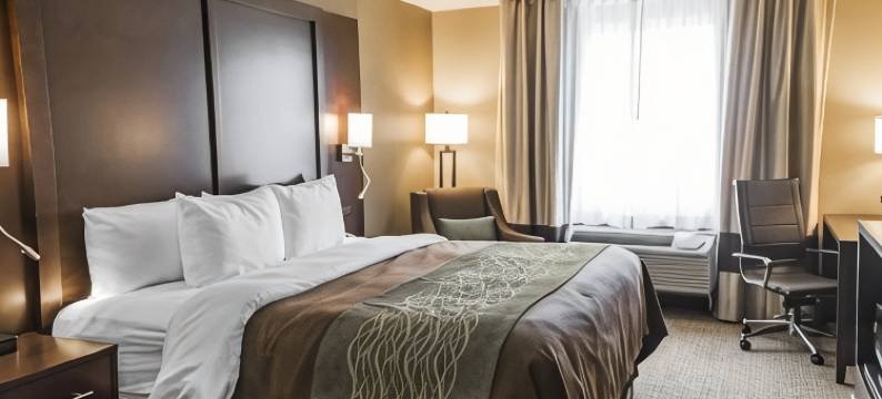 舒适酒店及套房(Comfort Inn & Suites Pharr/McAllen)图片