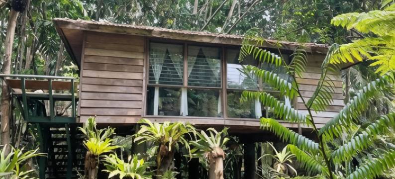 菲姆天堂酒店(Fern Paradise)图片