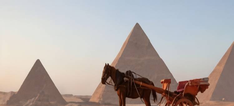 开罗机场诺富特酒店(Novotel Cairo Airport)图片