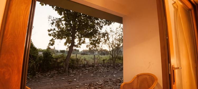 MC野生度假村(MC Resort Wildlife Resort Bandipur)图片