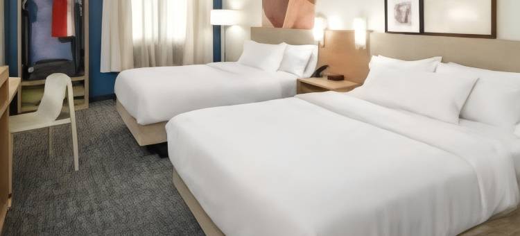 威廉斯堡历史区希尔顿Spark酒店(Spark by Hilton Williamsburg Historic Area)图片