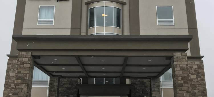 布兰普顿丽柏酒店(Park Inn by Radisson Brampton, on)图片