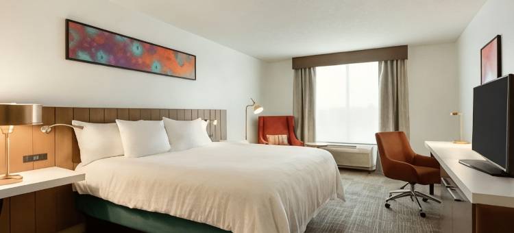 希尔顿花园酒店-提夫顿(Hilton Garden Inn Tifton)图片