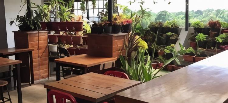 艾丽瑞亚民宿(Aliria Bed and Breakfast)图片