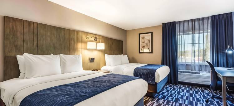 孟菲斯机场西舒适酒店(Comfort Inn Memphis Airport West)图片