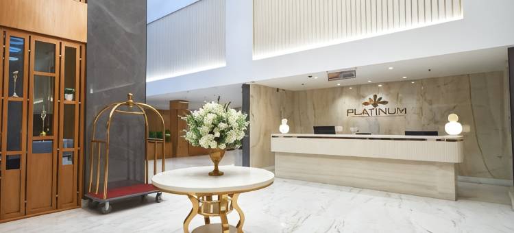 铂金酒店(Platinum Hotel)图片