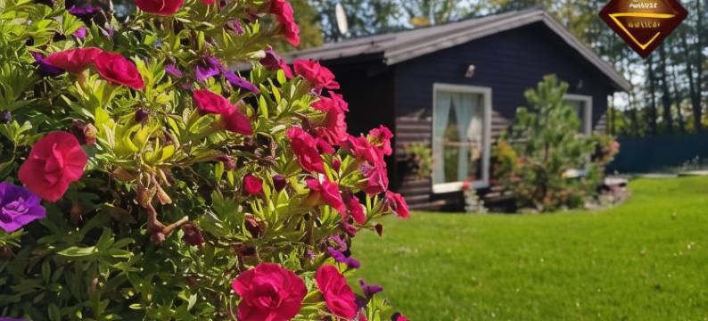 佐拉俱乐部公寓式酒店(Apart-Club Zora)图片