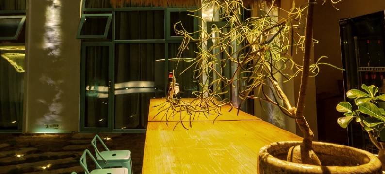 纳趣·蓝莲花民宿图片