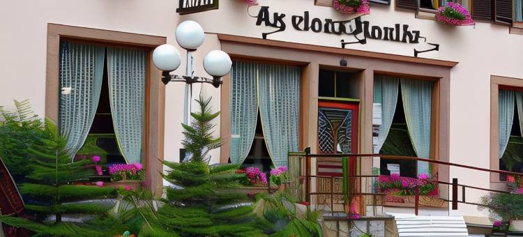 老磨坊酒店(Hôtel Au Vieux Moulin)图片
