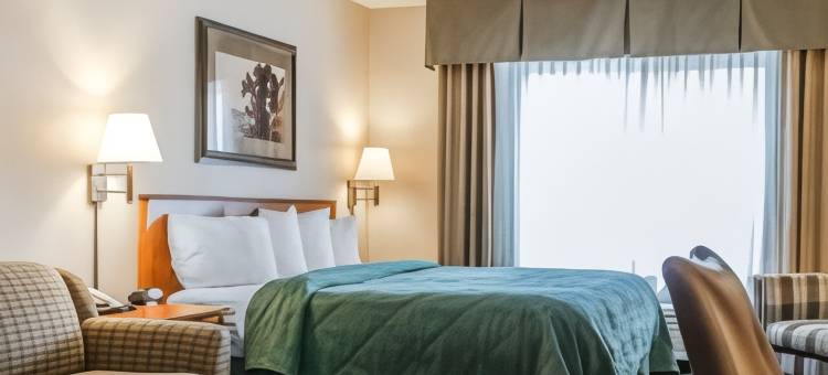 凯艺套房酒店(Quality Inn & Suites)图片