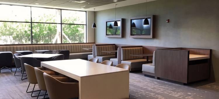 温德姆花园酒店奥兰多环球影城/国际大道(Wyndham Garden Orlando Universal / I Drive)图片