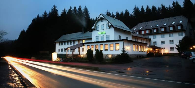 罗德巴赫穆勒酒店(Hotel Rodebachmühle)图片