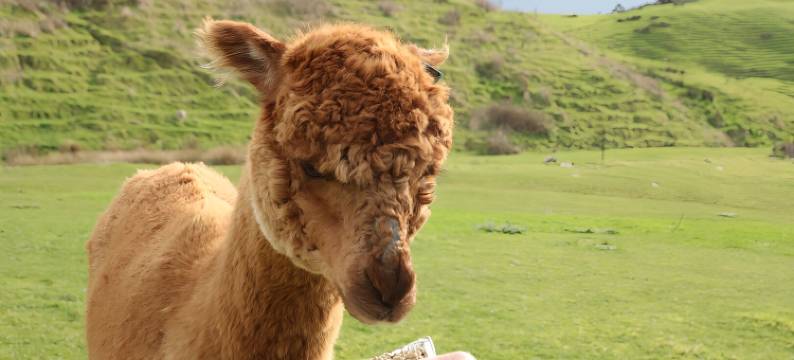 海员杰特威酒店(Seafarers Getaway)图片