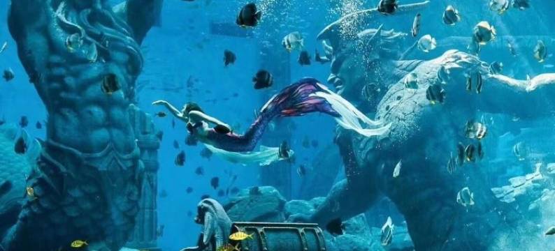 东北老乡民居(学富街分店)图片