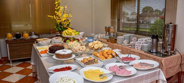 旧金山酒店及旅游(Hotel Plaza Sul)图片