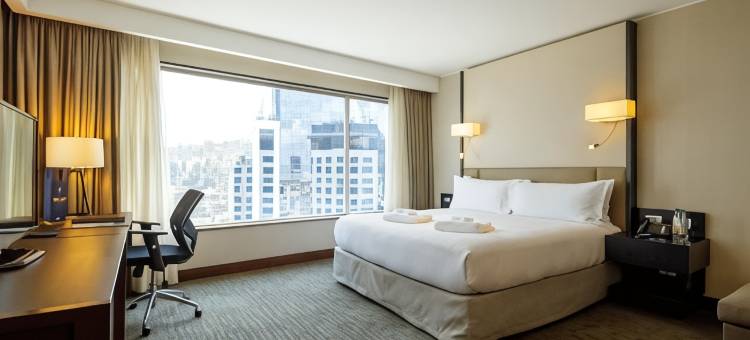 圣地亚哥比塔库拉希尔顿逸林酒店(DoubleTree by Hilton Santiago - Vitacura)图片
