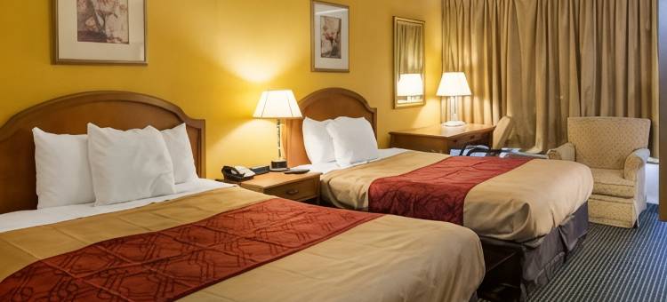 彼得斯堡-李堡伊克诺旅馆(Econo Lodge Petersburg - Fort Lee)图片