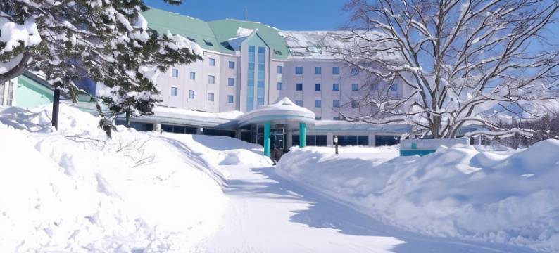 美瑛白金温泉 公园山酒店(Biei Shirogane Onsen Hotel Park Hills)图片