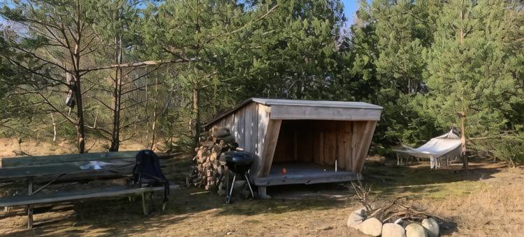 耶格皮耶加德民宿(Egebjerggaard Bed & Breakfast)图片