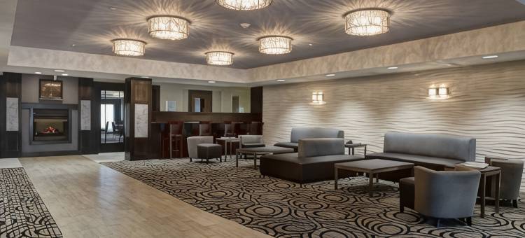 智选假日套房酒店弗里蒙特(Holiday Inn Express & Suites North Fremont)图片
