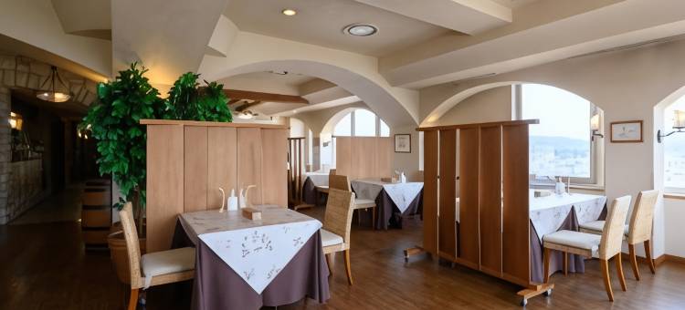 鯖江城市酒店(Sabae City Hotel)图片