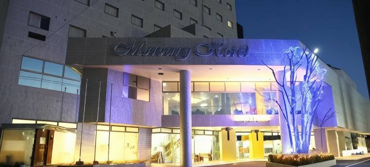 前桥水星1-2-3酒店(Hotel 1-2-3 Maebashi Mercury)图片