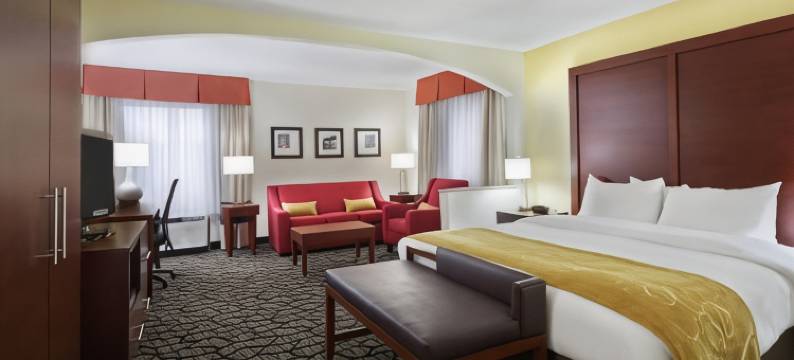 因斯布鲁克-舒特庞普舒适套房酒店(Comfort Suites Innsbrook - Short Pump)图片