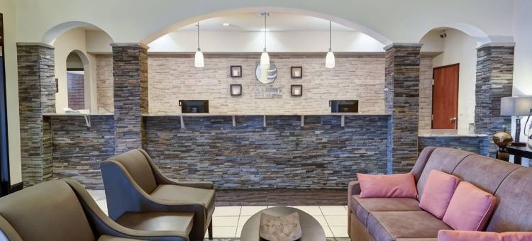 舒适套房酒店(Comfort Inn & Suites)图片