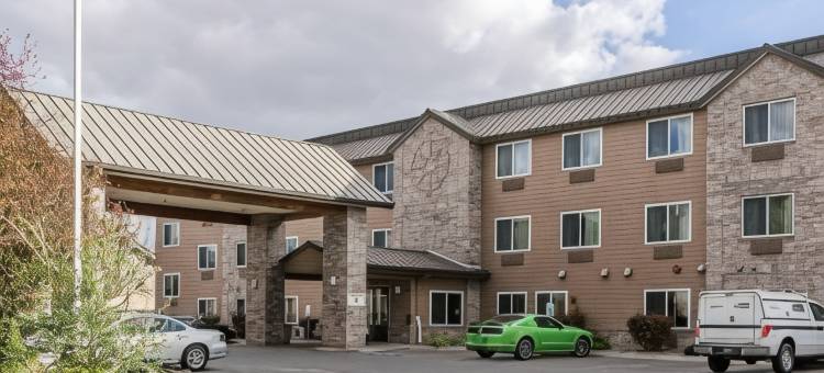 凯艺套房酒店(Quality Inn & Suites)图片