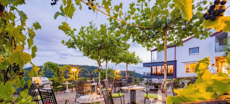 索娜伯格瓦尔德酒店(Waldhotel Sonnenberg)图片