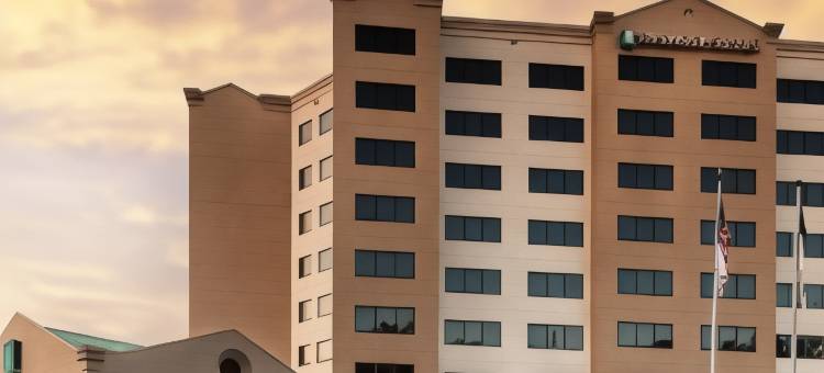希尔顿安泊酒店-罗利克拉柏特里(Embassy Suites by Hilton Raleigh Crabtree)图片