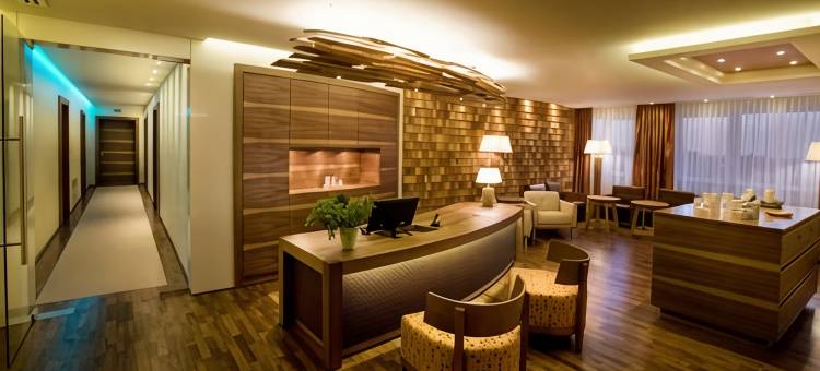 施利夫科普夫国家公园-康体酒店，Bwsc(Wellness-  Nationalpark Hotel Schliffkopf, Bwsc)图片