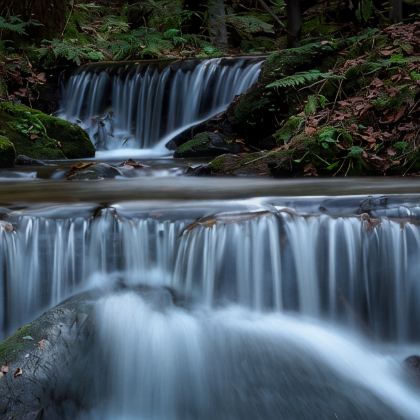 哈尔滨+伊春+五大连池市6日5晚跟团游