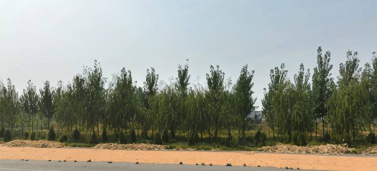 如家华驿酒店(新乡辉县双龙店)图片