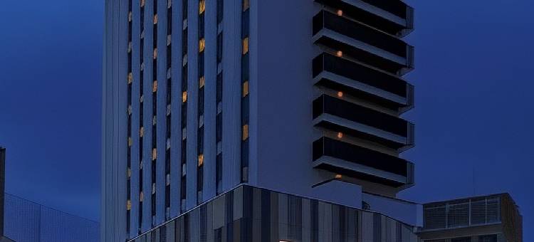 湘南藤泽微笑酒店(Smile Hotel Shonan Fujisawa)图片