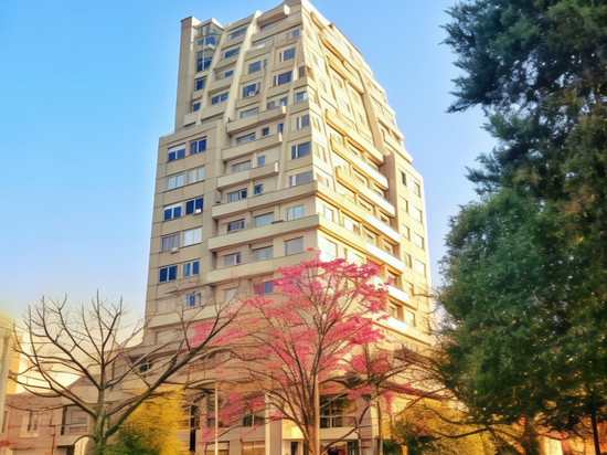 Roomie Salta by DOT套房