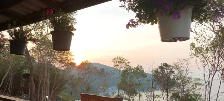 帕琳雅山民宿咖啡馆(Parinya Hill Homestay & Cafe)图片