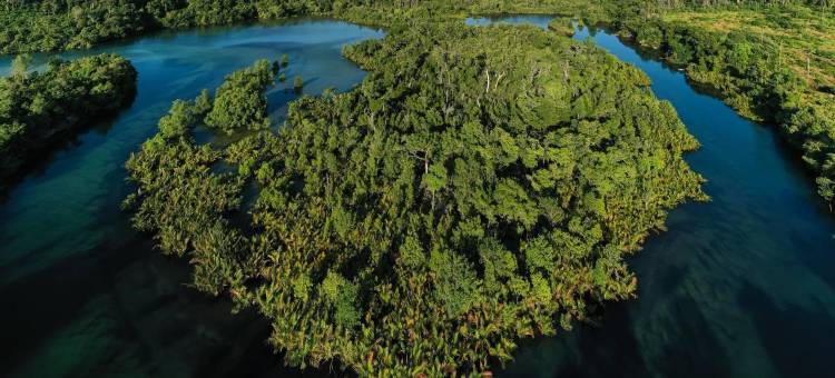 塔泰露营小屋(Tatai Camping Lodges)图片