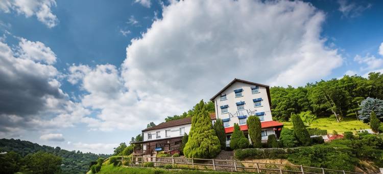 贝尔维餐厅酒店(Logis Hôtel Belle Vue)图片