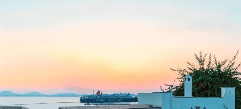 城堡公寓酒店(Castle Mansions)图片