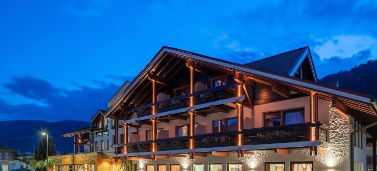 布内豪弗酒店(Hotel Brunnerhof)图片