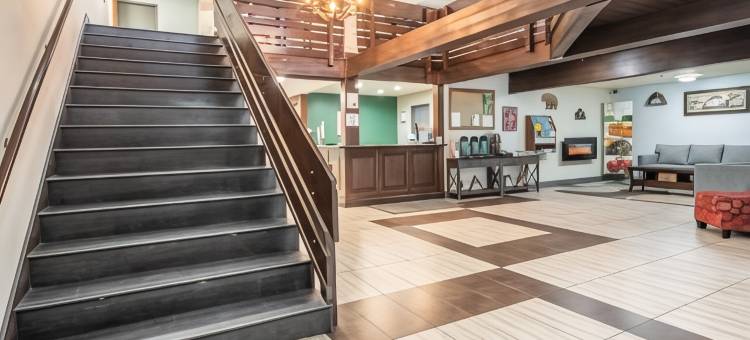 凯艺酒店-近马默斯山滑雪度假村(Quality Inn Near Mammoth Mountain Ski Resort)图片